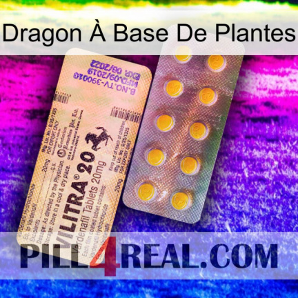 Dragon À Base De Plantes new06
